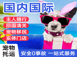 庆阳机场托运国际宠物托运 【国